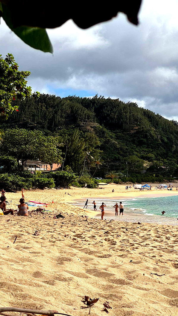 chloerosenbaum image ~ Altpins