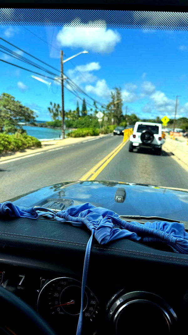 chloerosenbaum image ~ Altpins