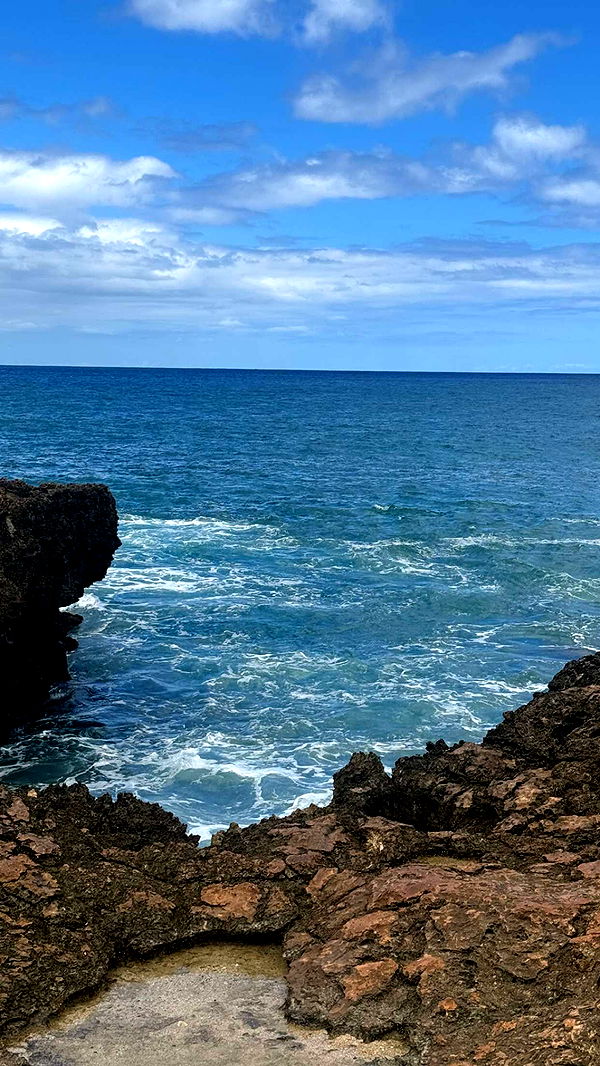 chloerosenbaum image ~ Altpins