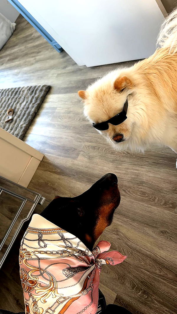 chloerosenbaum image ~ Altpins