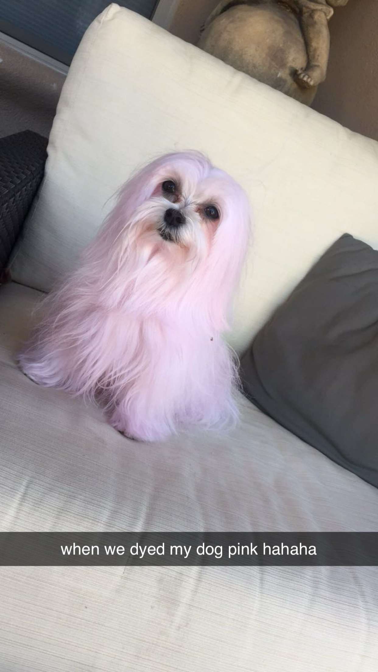 chloerosenbaum snapchat image archive image