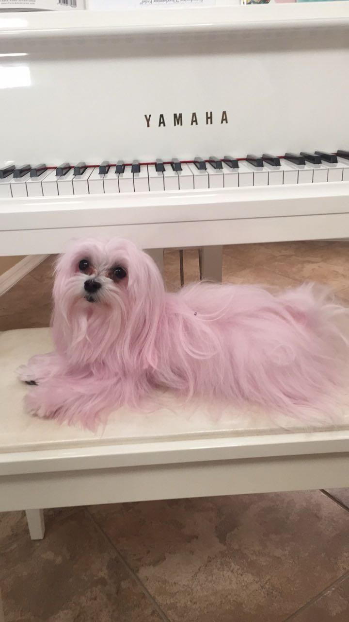 chloerosenbaum snapchat image archive image