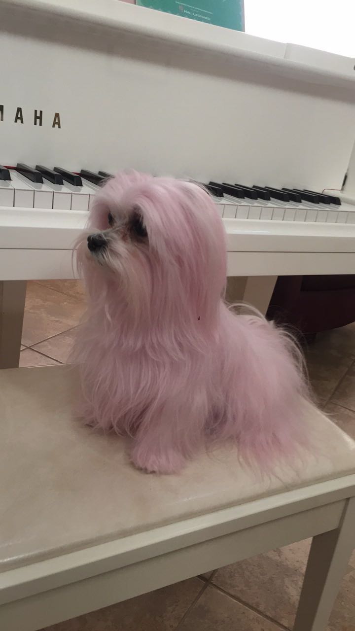 chloerosenbaum snapchat image archive image