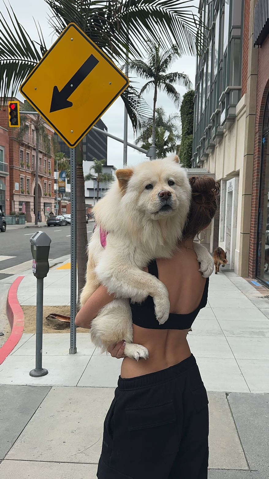 chloerosenbaum snapchat image archive image