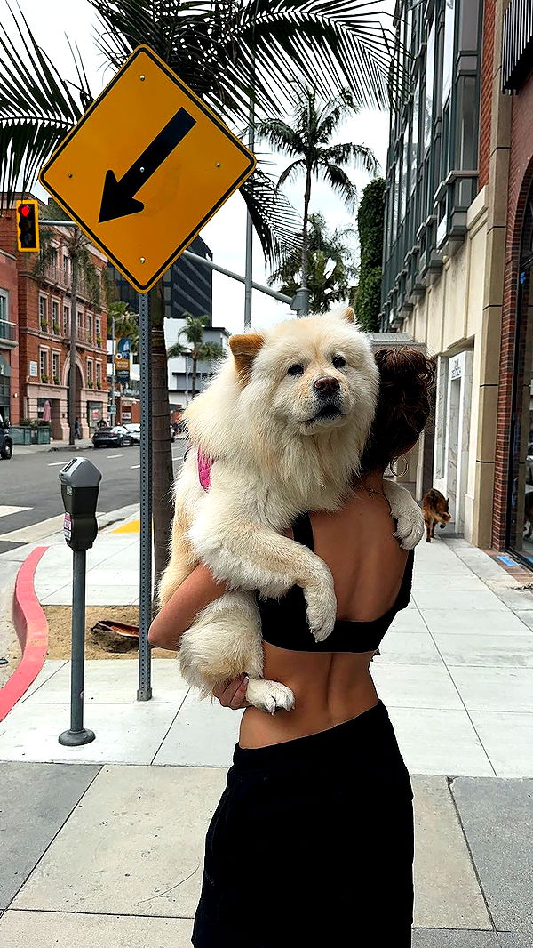 chloerosenbaum image ~ Altpins