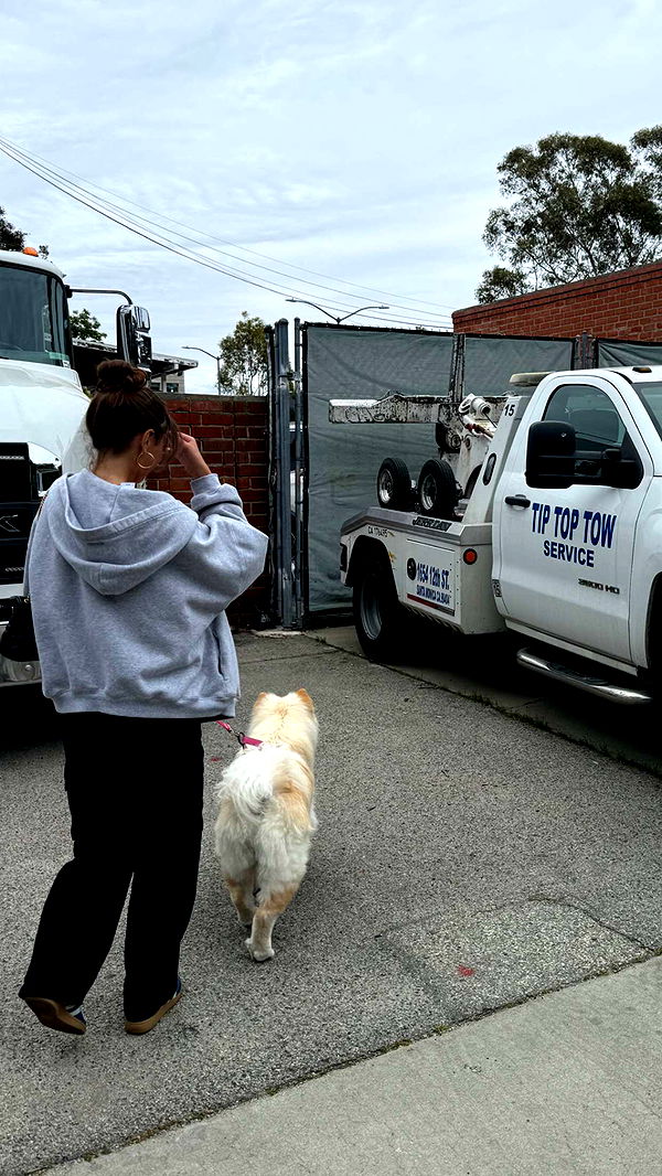 chloerosenbaum image ~ Altpins