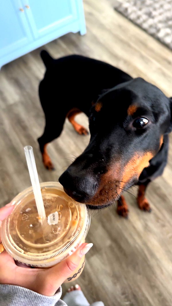 chloerosenbaum image ~ Altpins