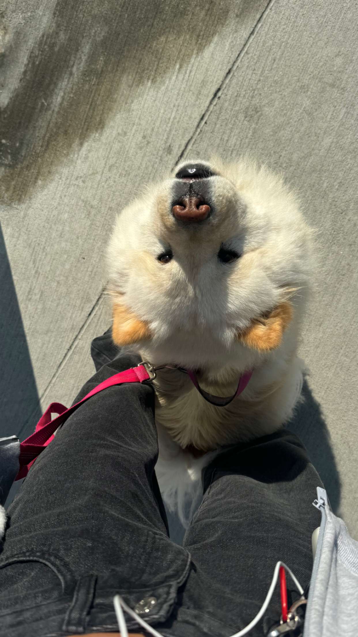 chloerosenbaum snapchat image archive image