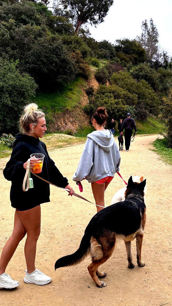 chloerosenbaum image ~ Altpins