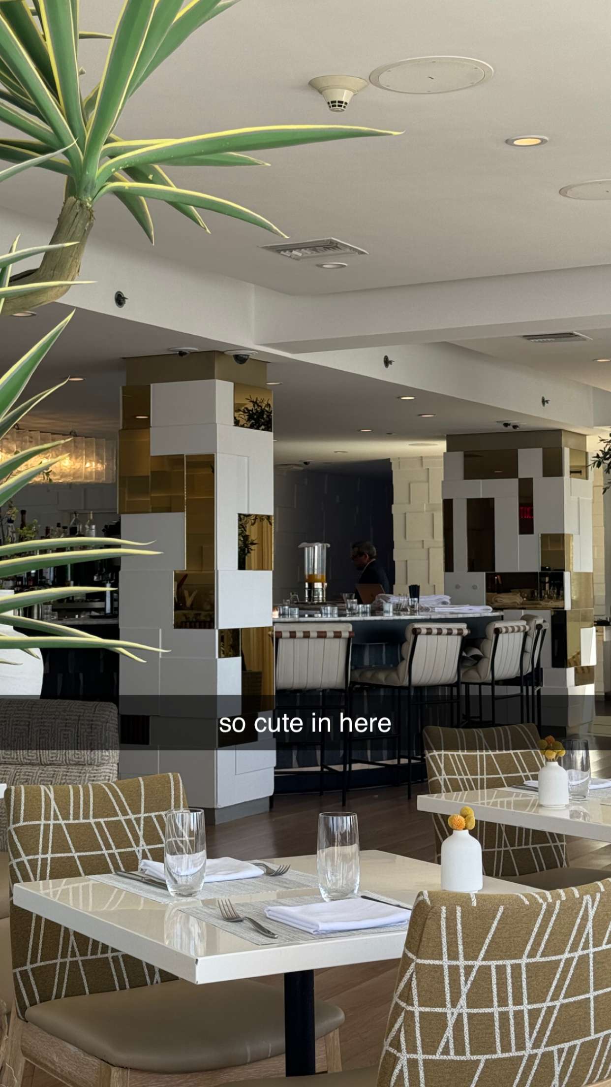 chloerosenbaum snapchat image archive image