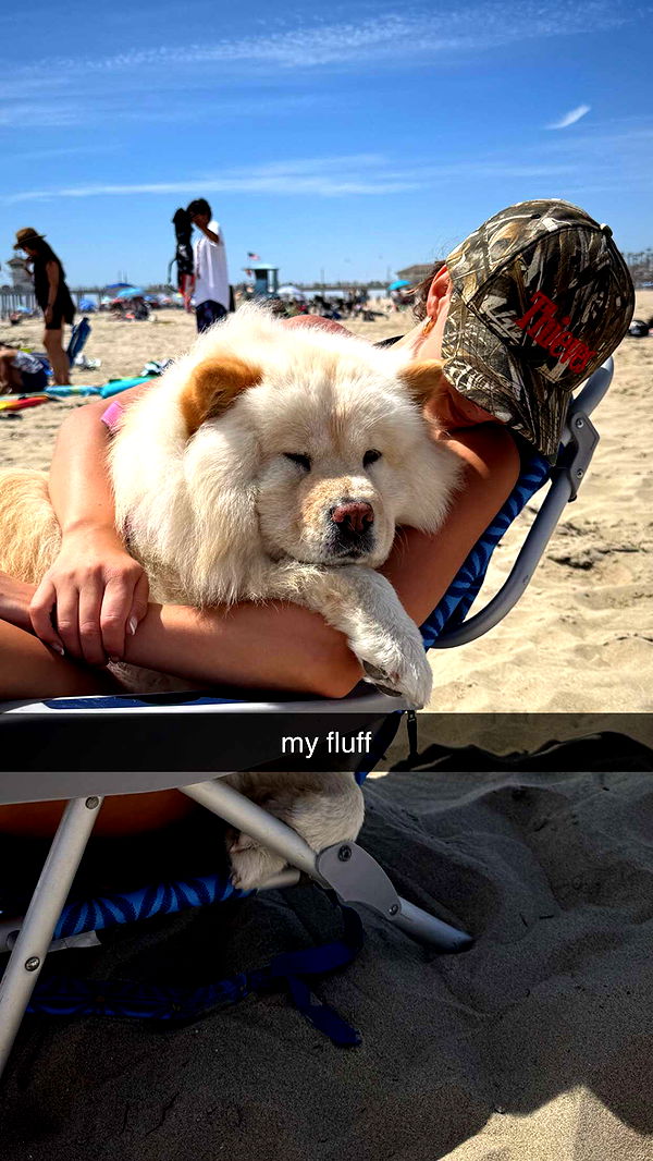 chloerosenbaum image ~ Altpins