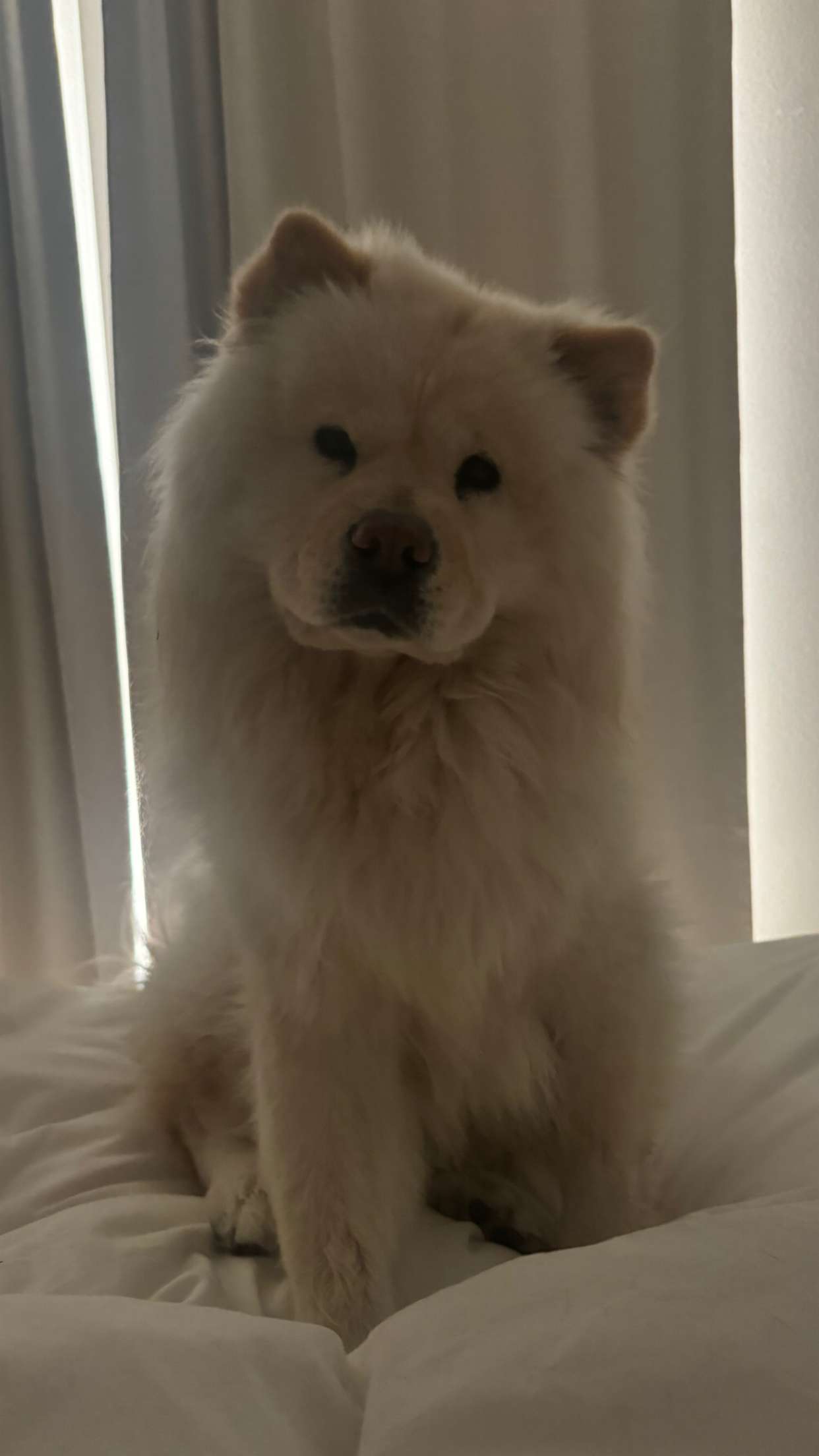 chloerosenbaum snapchat image archive image