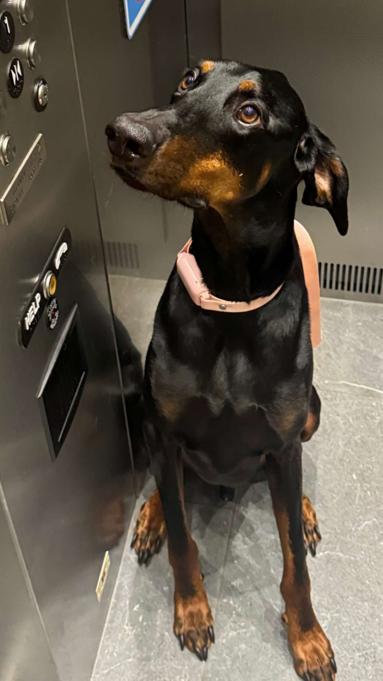 chloerosenbaum snapchat image archive image