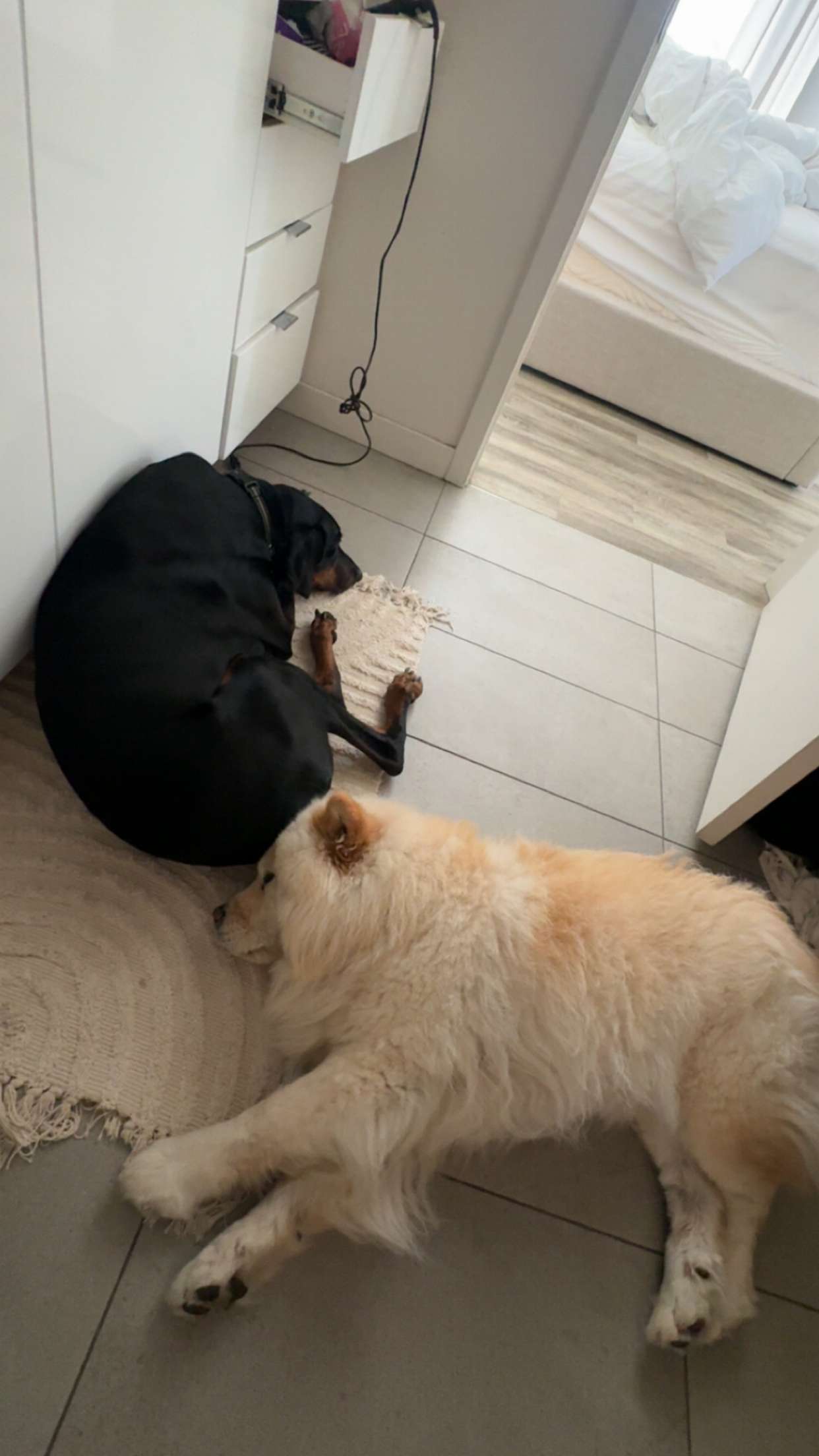 chloerosenbaum snapchat image archive image