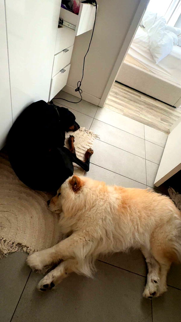 chloerosenbaum image ~ Altpins