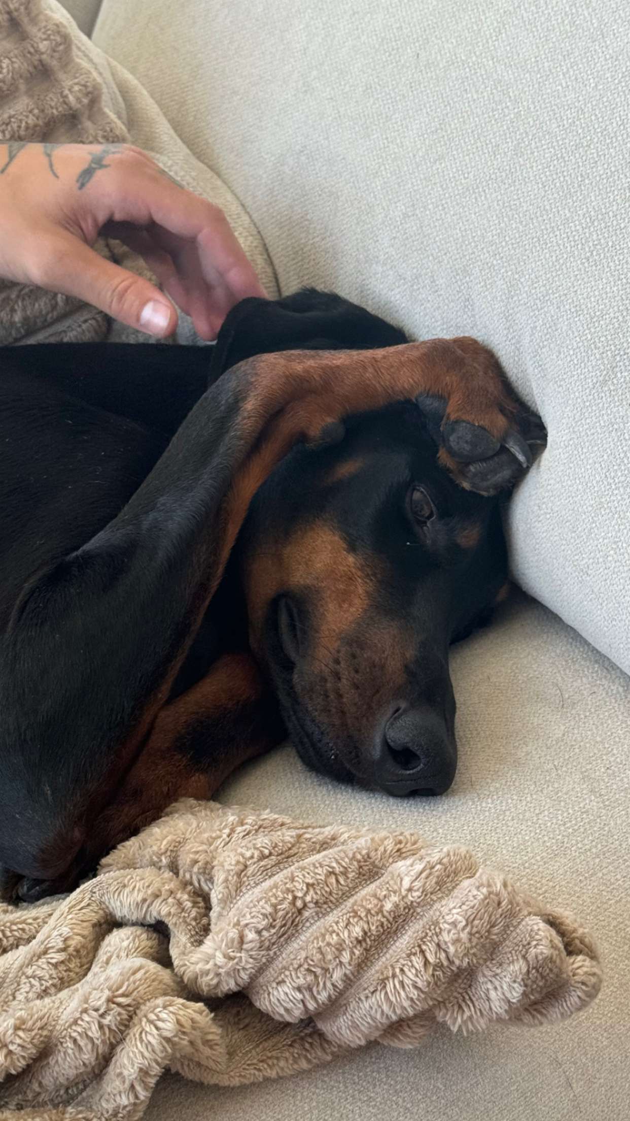 chloerosenbaum snapchat image archive image