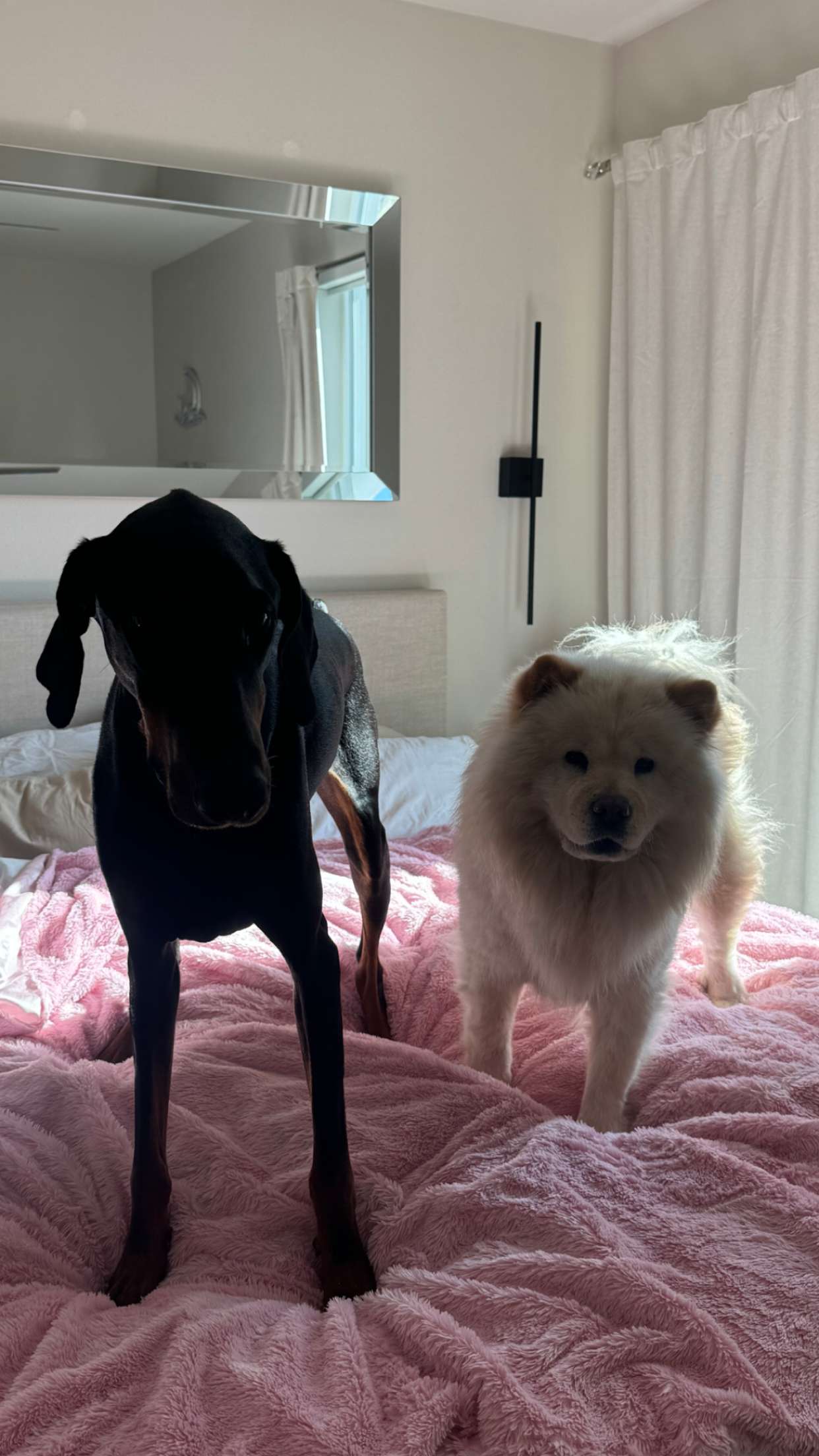 chloerosenbaum snapchat image archive image