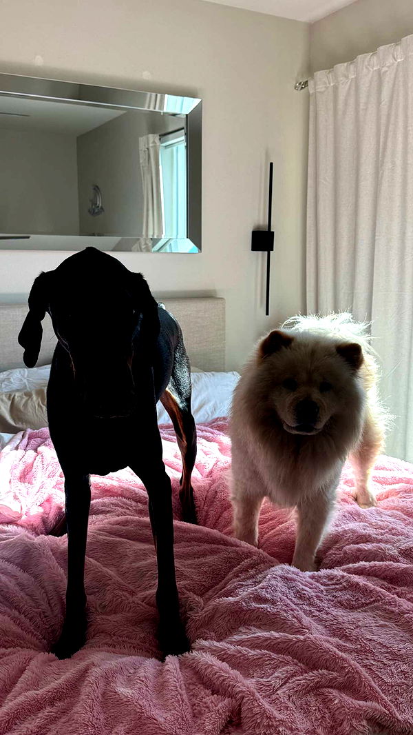 chloerosenbaum image ~ Altpins