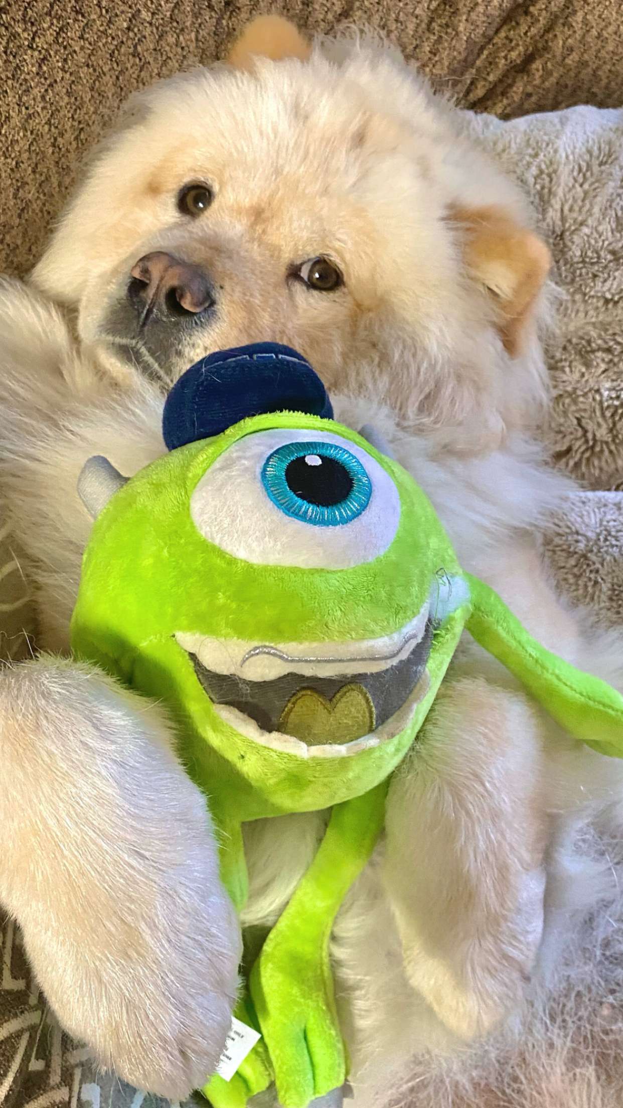 chloerosenbaum snapchat image archive image