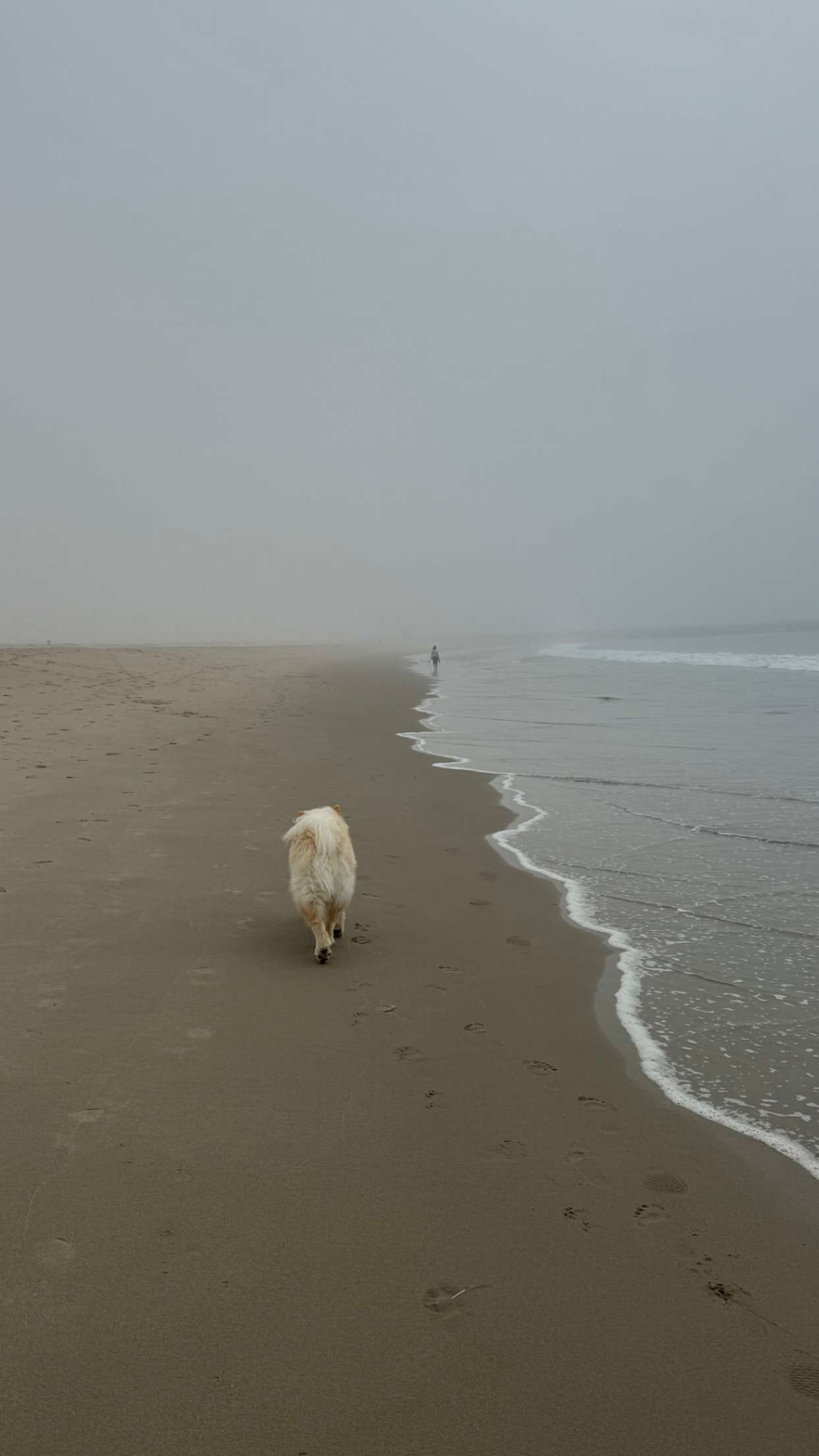 chloerosenbaum snapchat image archive image