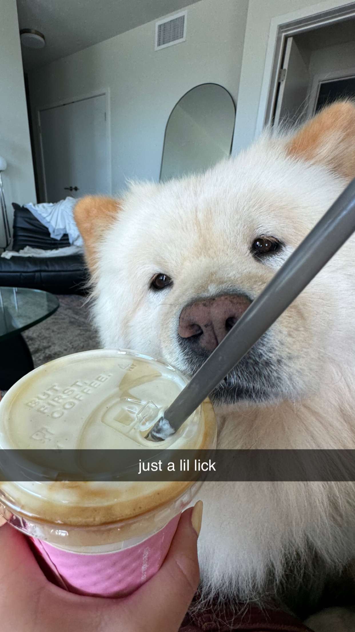 chloerosenbaum snapchat image archive image