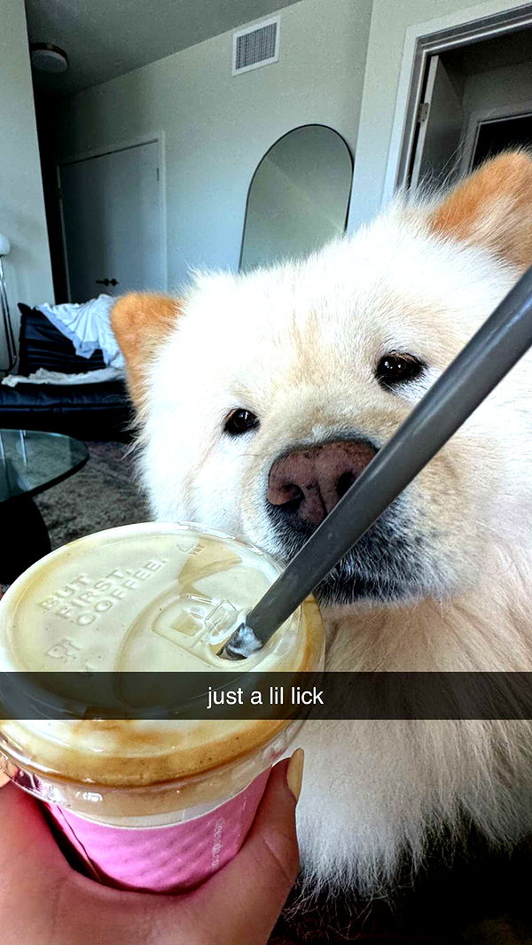 chloerosenbaum image ~ Altpins