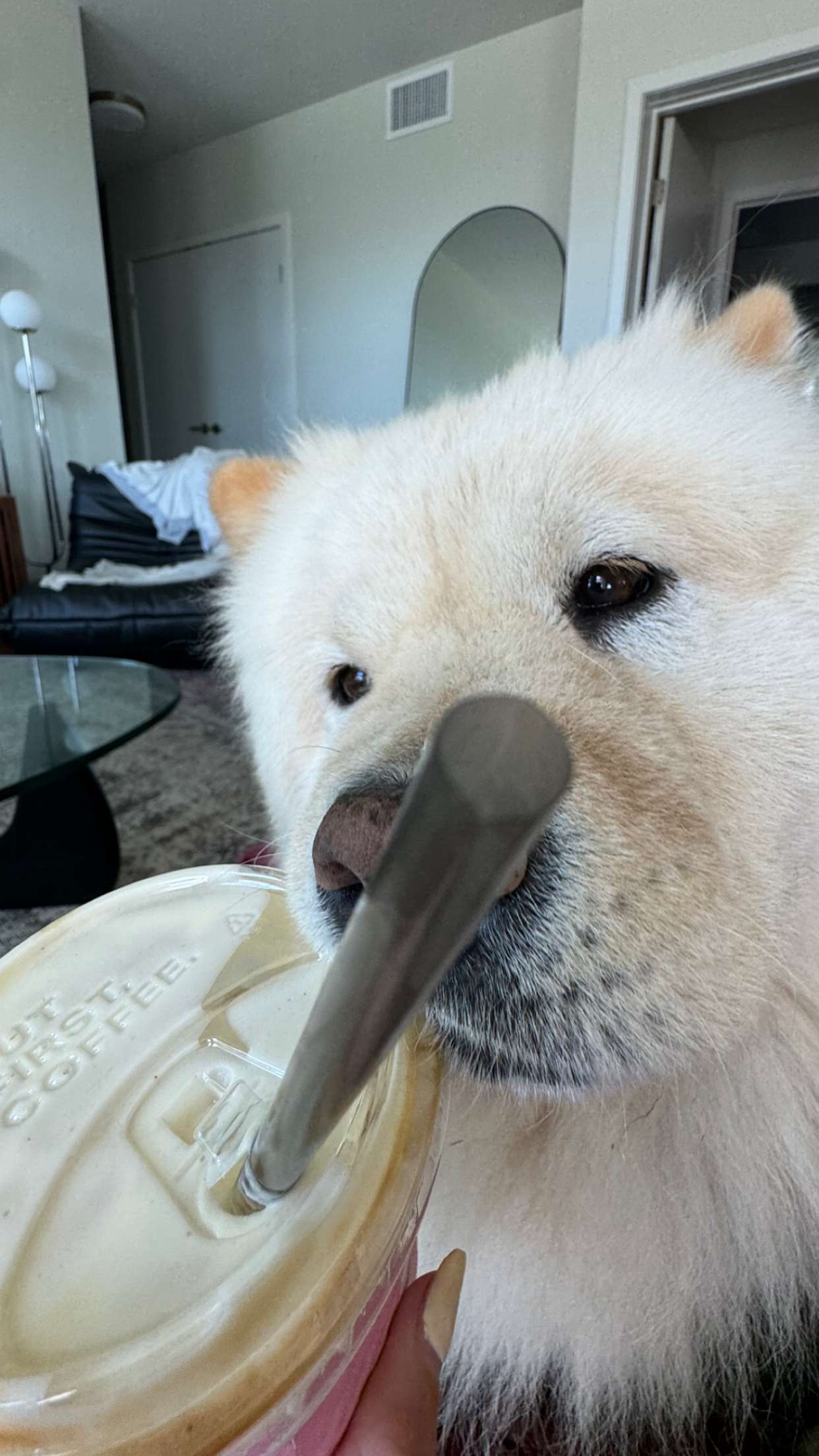 chloerosenbaum snapchat image archive image