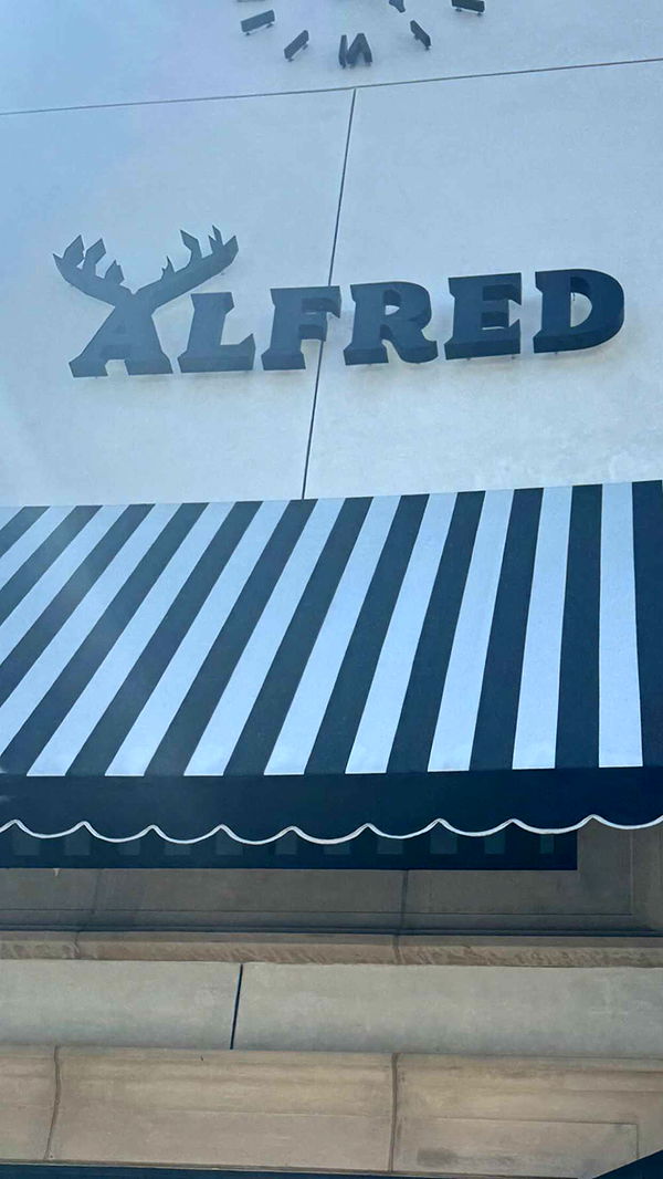 chloerosenbaum image ~ Altpins