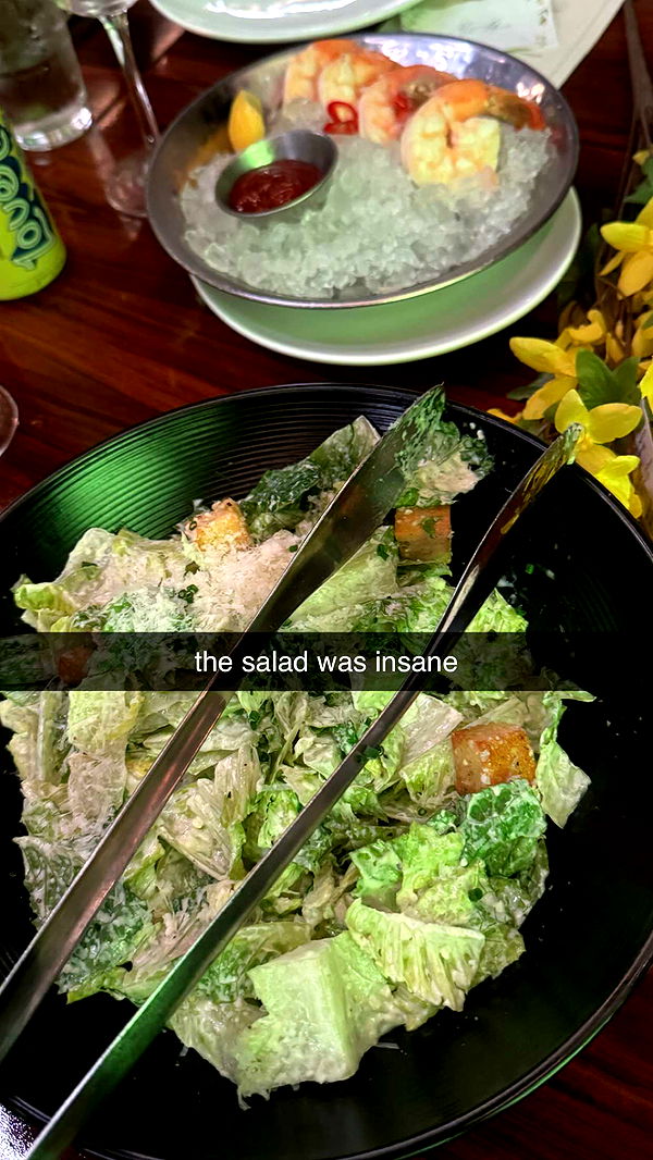 chloerosenbaum image ~ Altpins