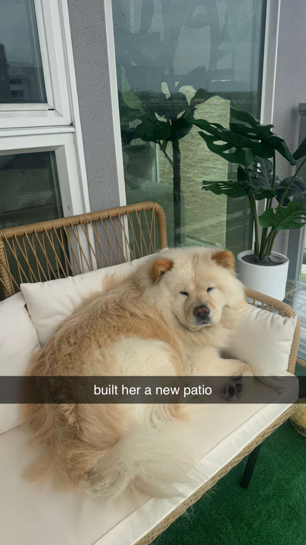 chloerosenbaum snapchat image archive image