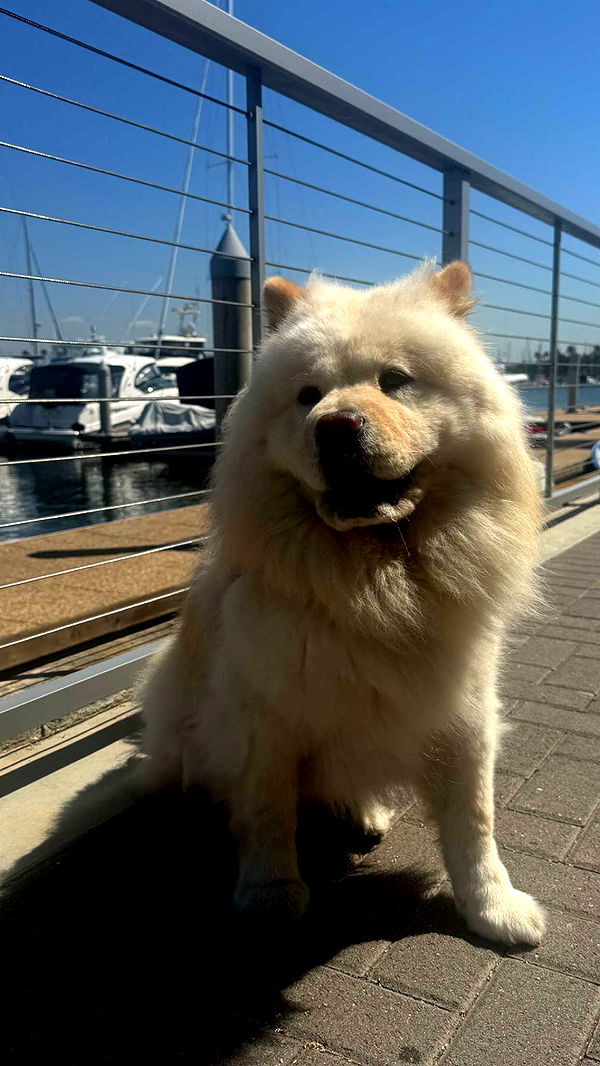 chloerosenbaum image ~ Altpins