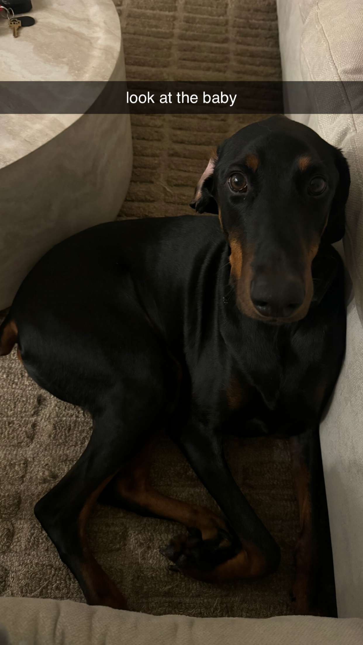 chloerosenbaum snapchat image archive image