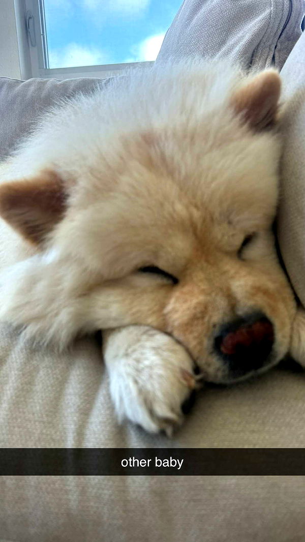 chloerosenbaum image ~ Altpins