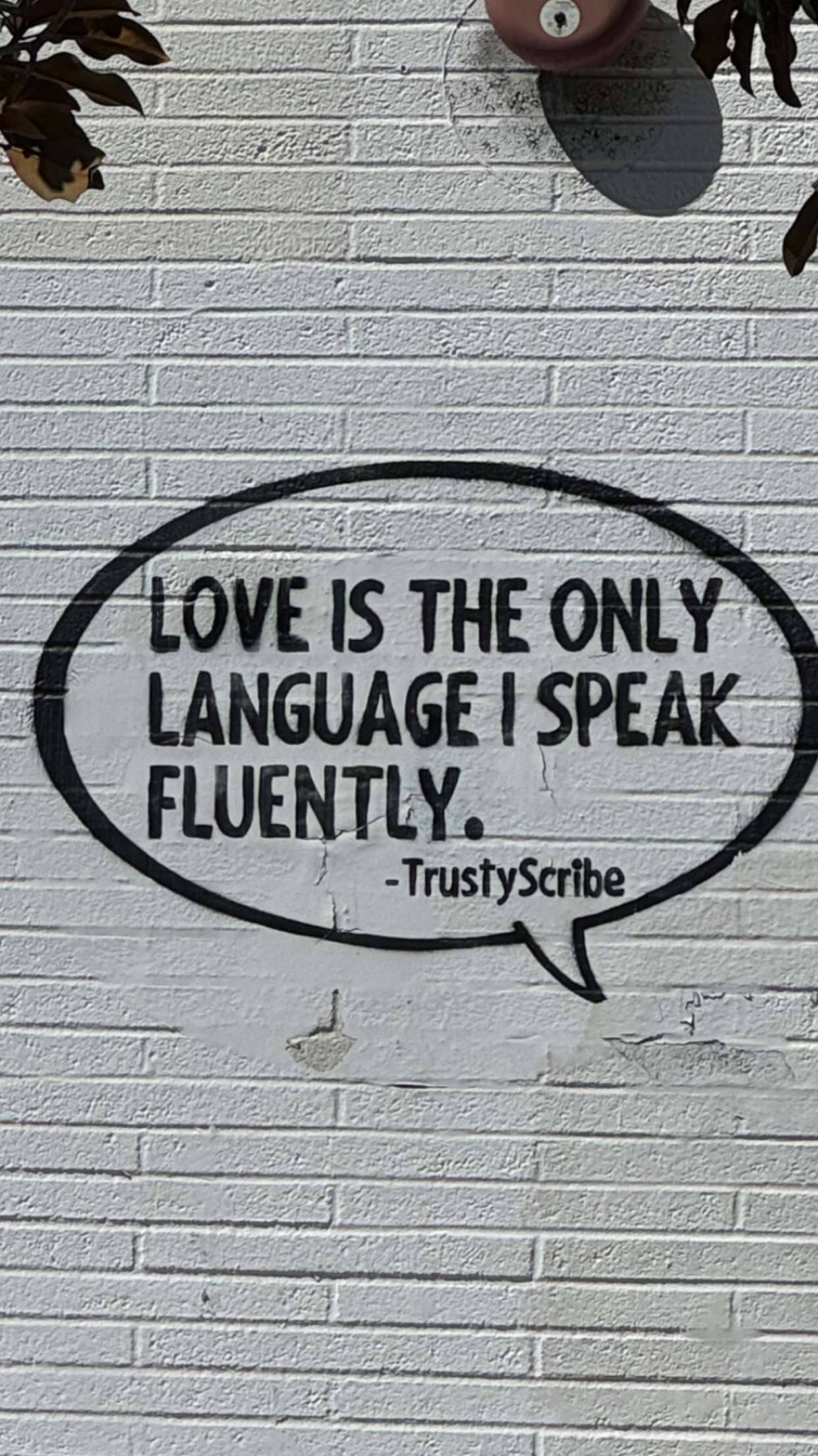 chloerosenbaum snapchat image archive image