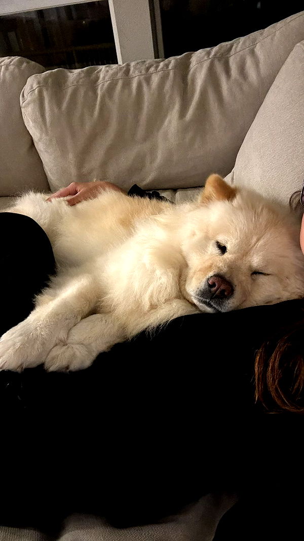 chloerosenbaum image ~ Altpins