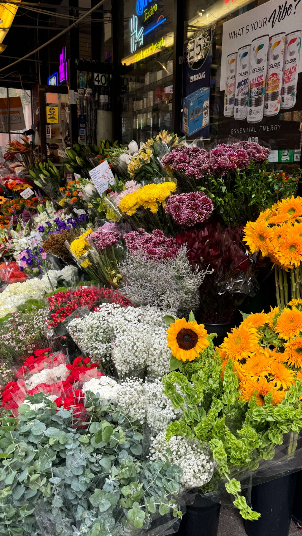 chloerosenbaum snapchat image archive image