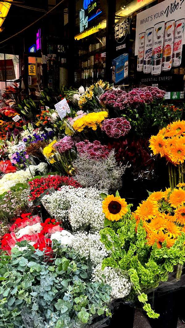 chloerosenbaum image ~ Altpins