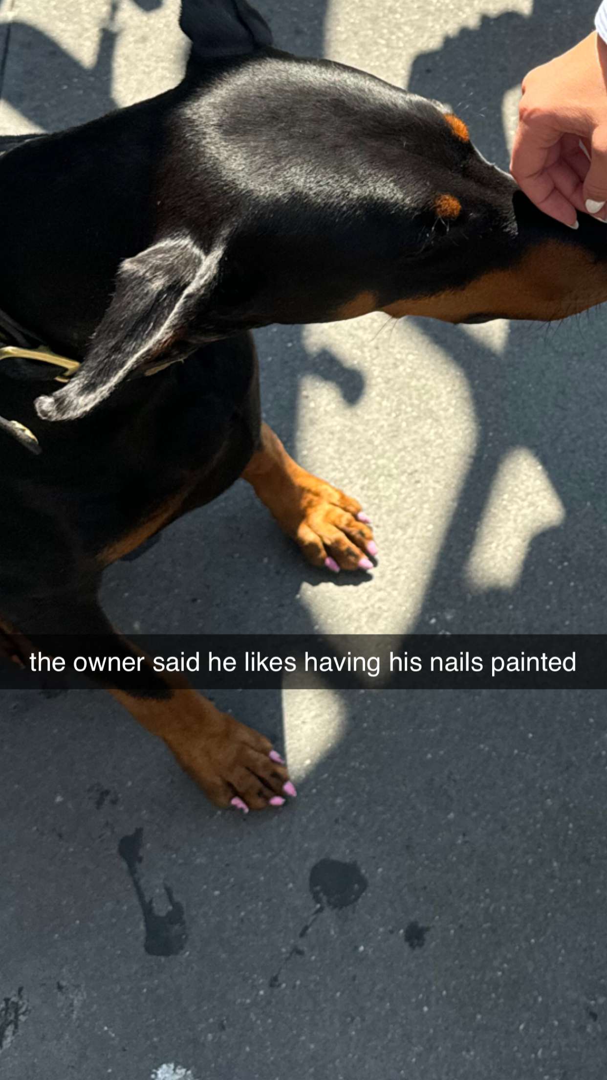 chloerosenbaum snapchat image archive image