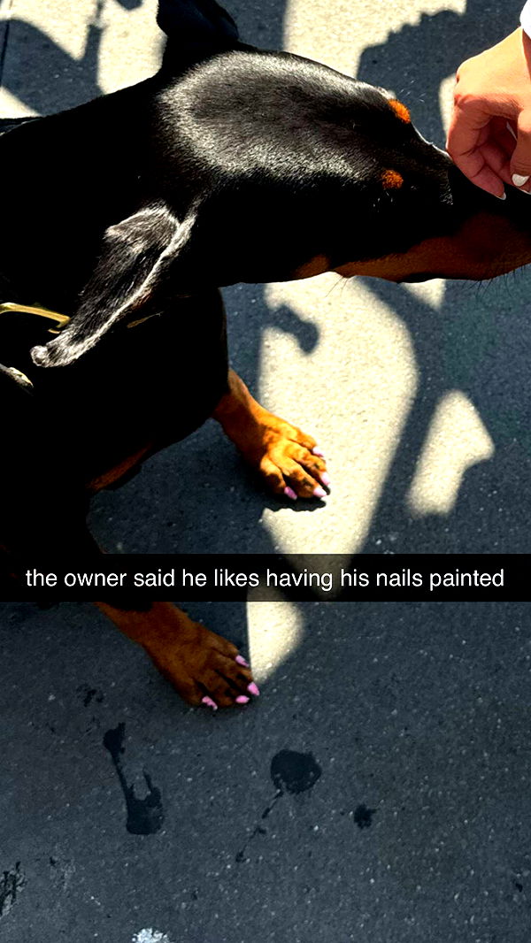 chloerosenbaum image ~ Altpins