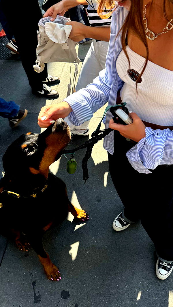 chloerosenbaum image ~ Altpins