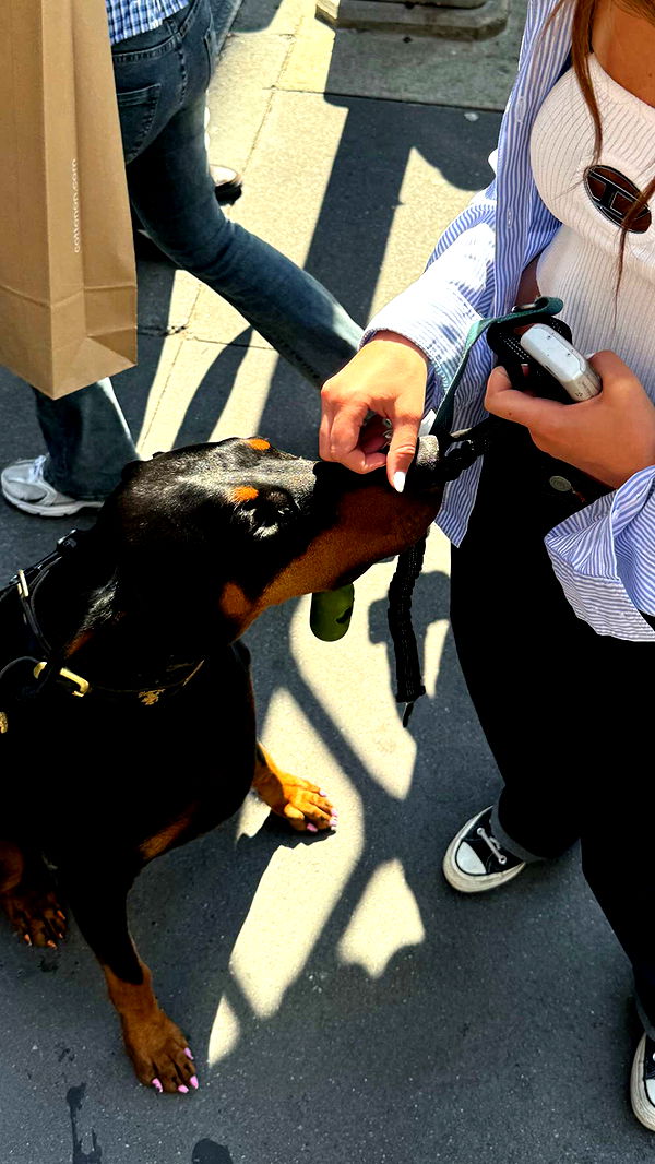 chloerosenbaum image ~ Altpins