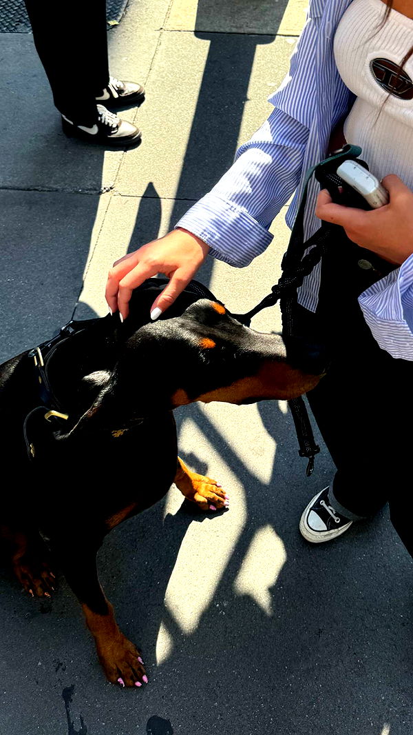 chloerosenbaum image ~ Altpins