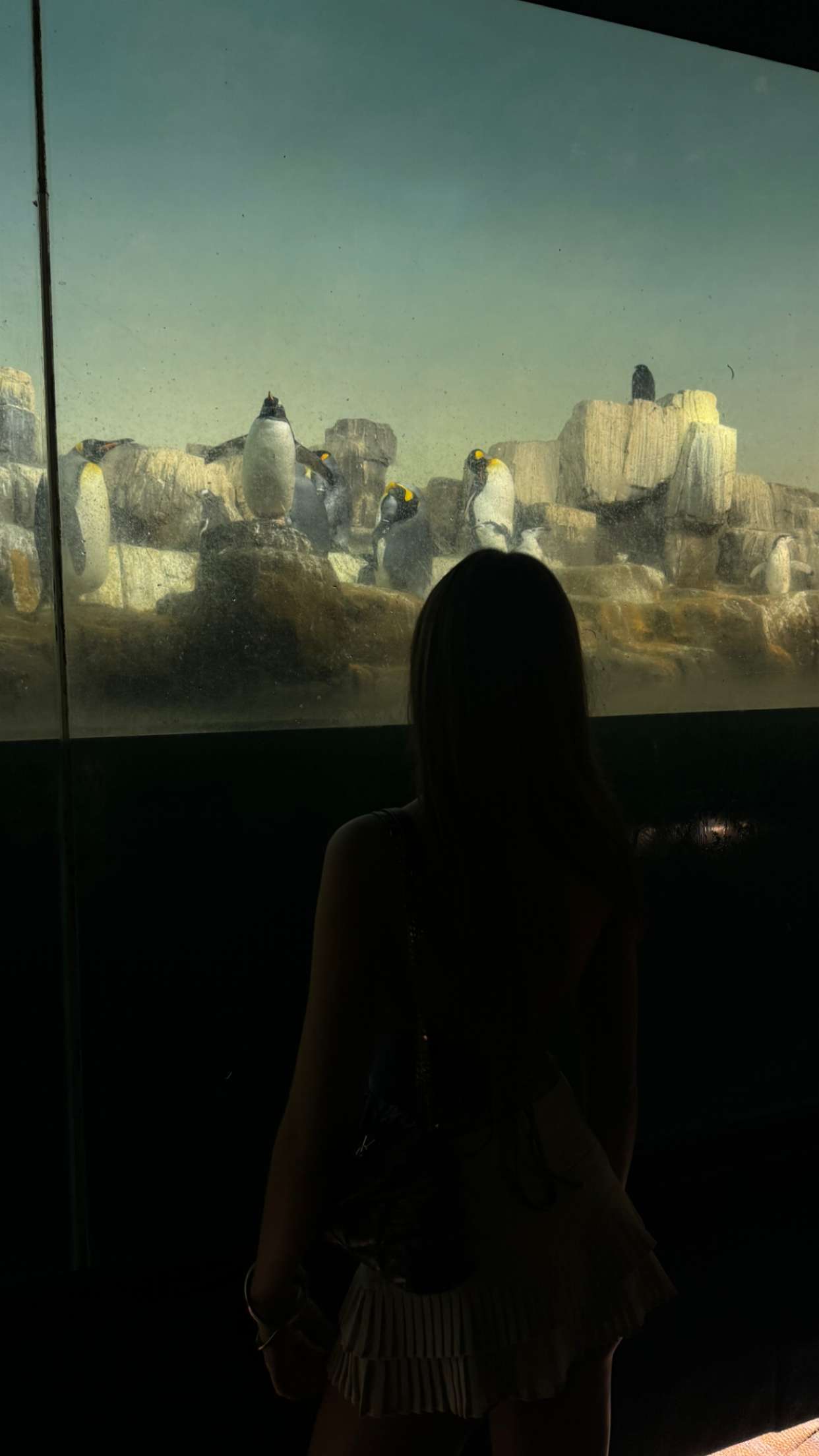 chloerosenbaum snapchat image archive image