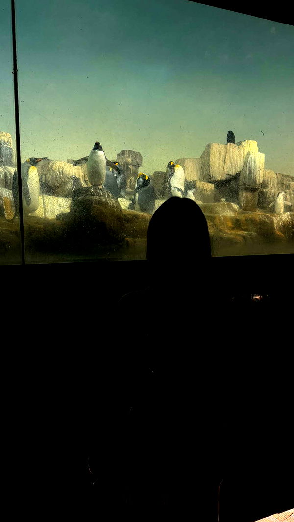 chloerosenbaum image ~ Altpins