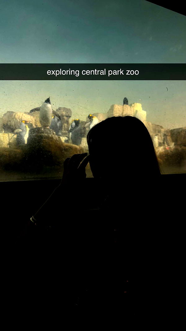 chloerosenbaum image ~ Altpins