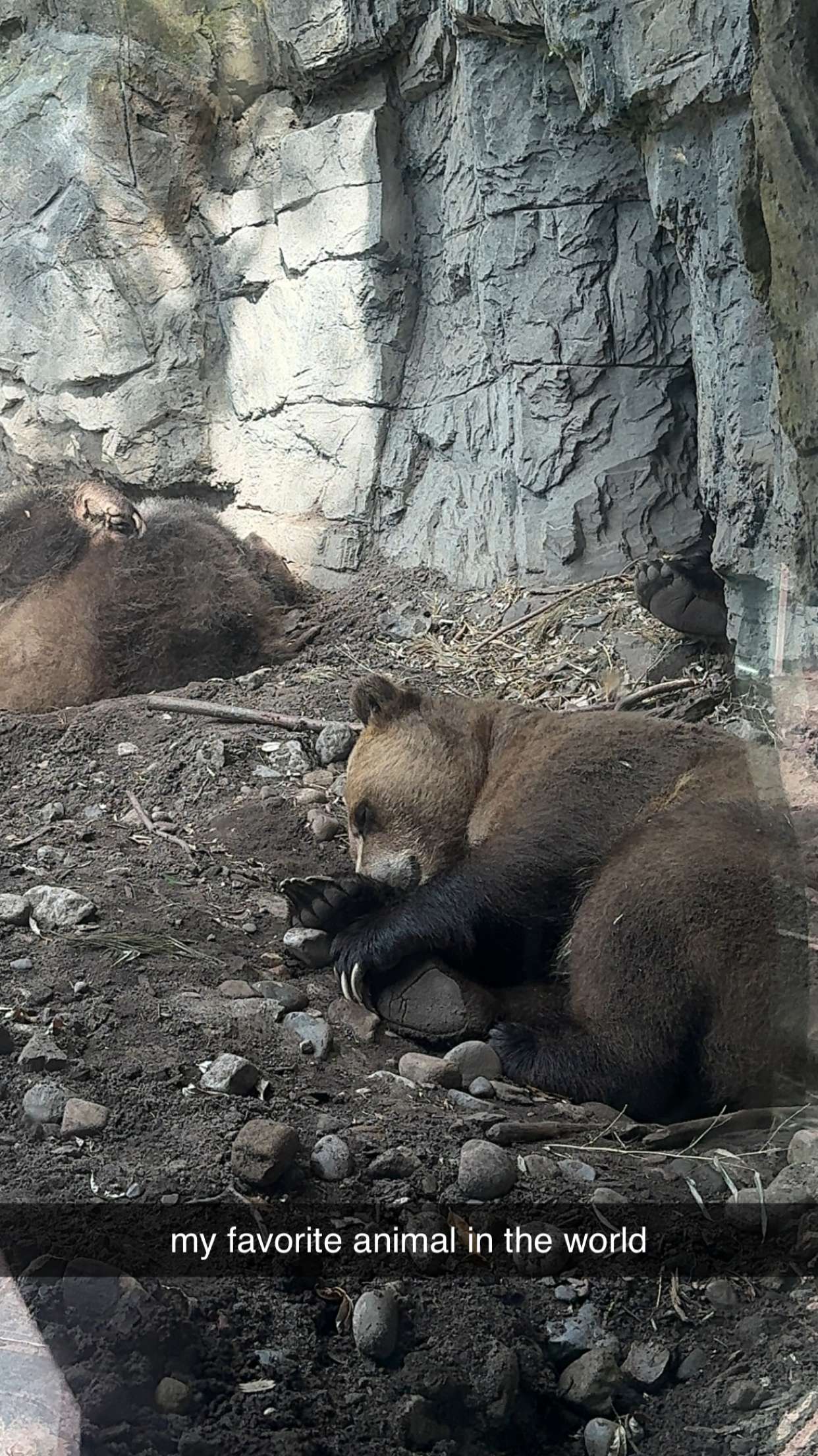 chloerosenbaum snapchat image archive image