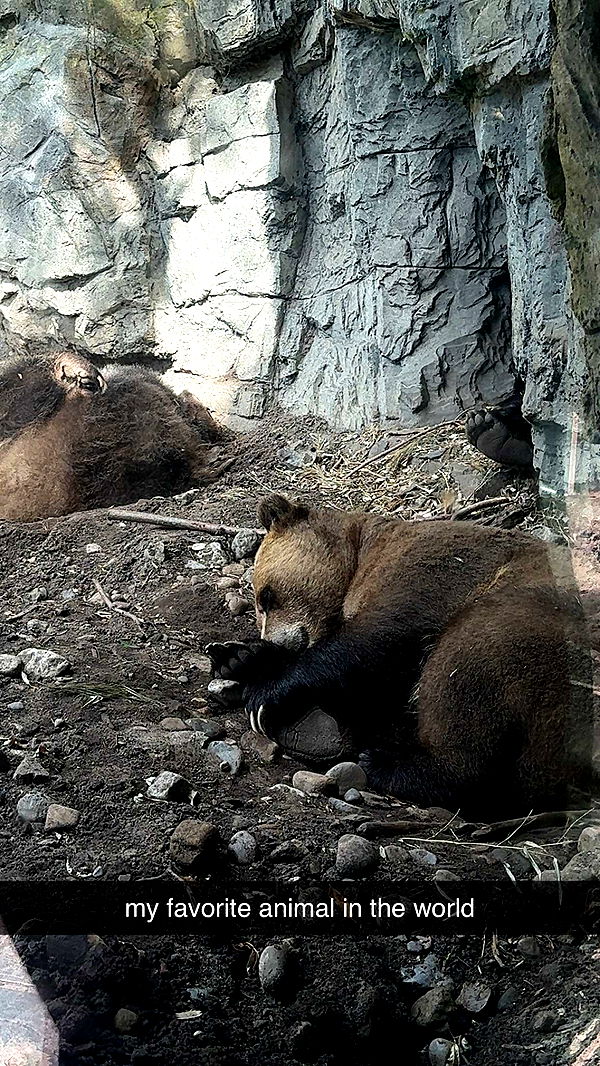 chloerosenbaum image ~ Altpins