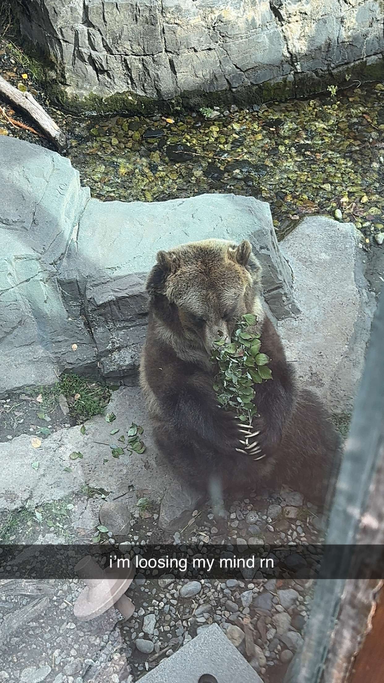 chloerosenbaum snapchat image archive image