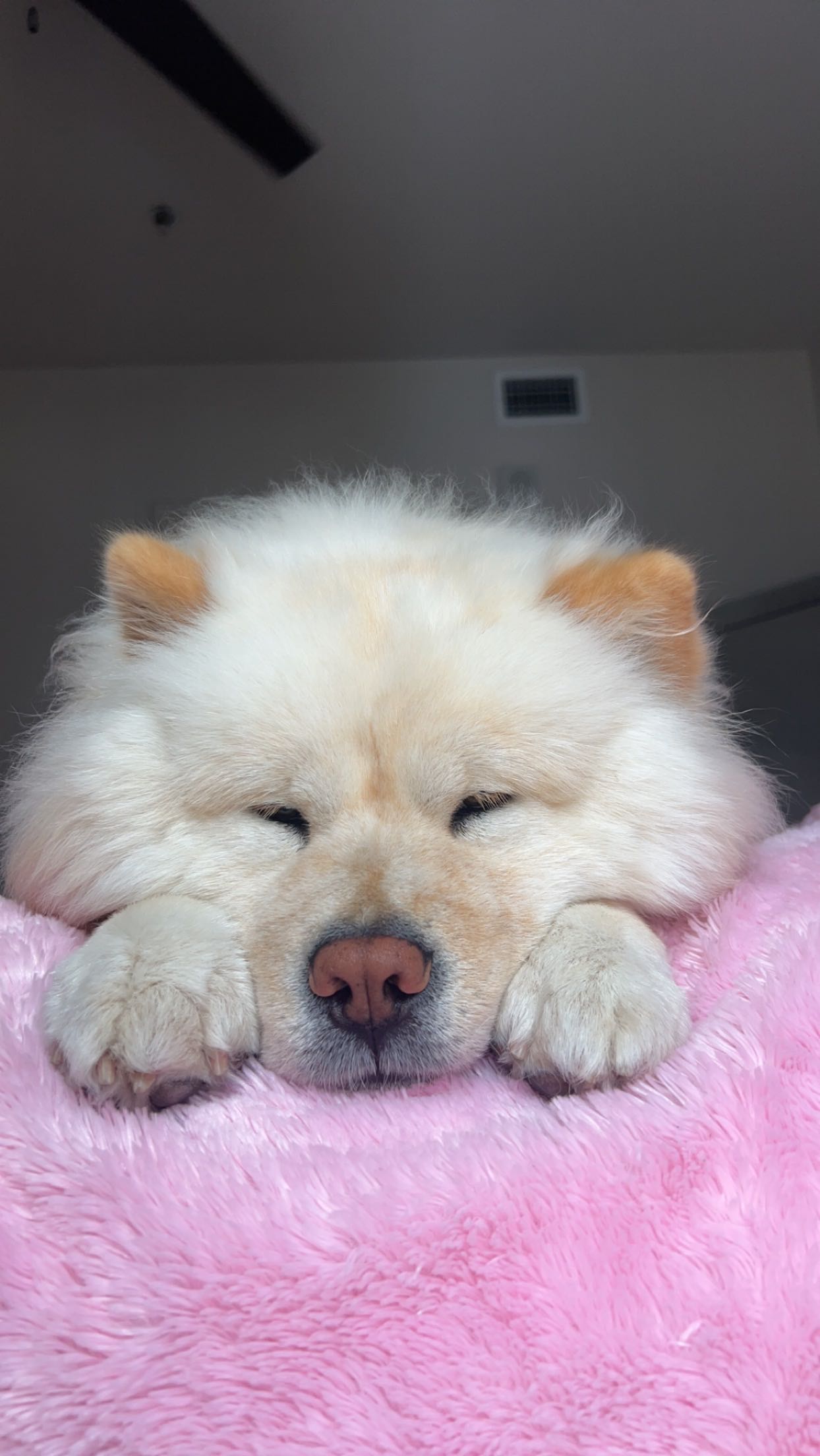 chloerosenbaum snapchat image archive image