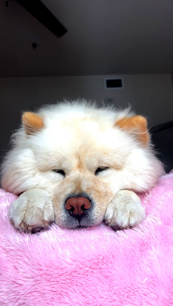 chloerosenbaum image ~ Altpins